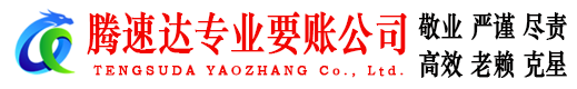 临泉讨账公司